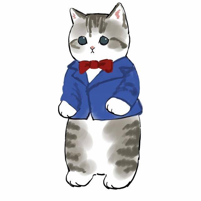 158张网红量腰围猫最全合集图