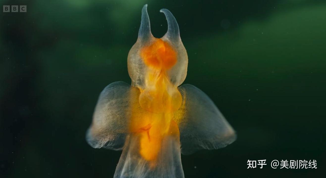 豆瓣97分零差评这部年度剧王终于回归