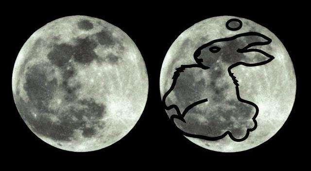 月亮阴影部分像兔子图片