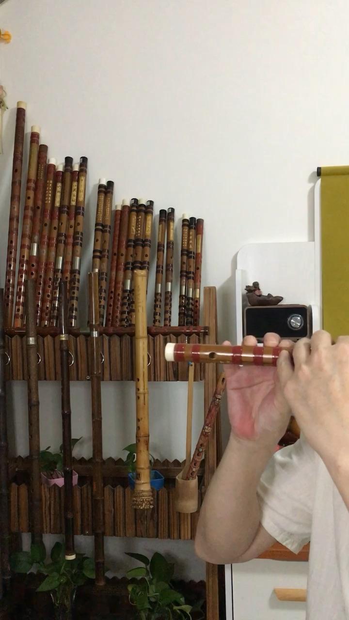 什么调的笛子最大 v2-5799eccdab26f6646560f17542710d20.jpg