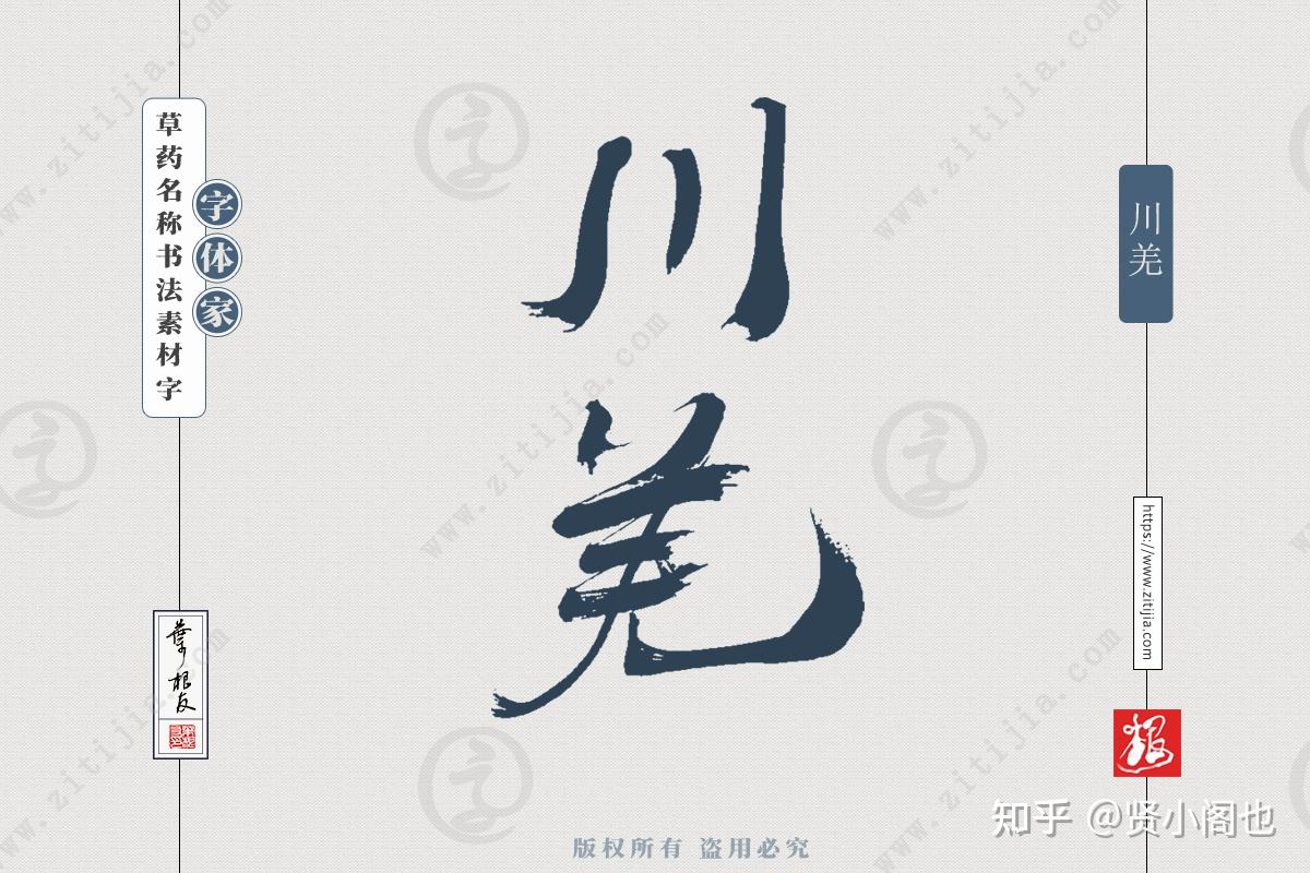 赏析│“川羌”“川乌”等草药、中药名称书法字体分享 - 知乎