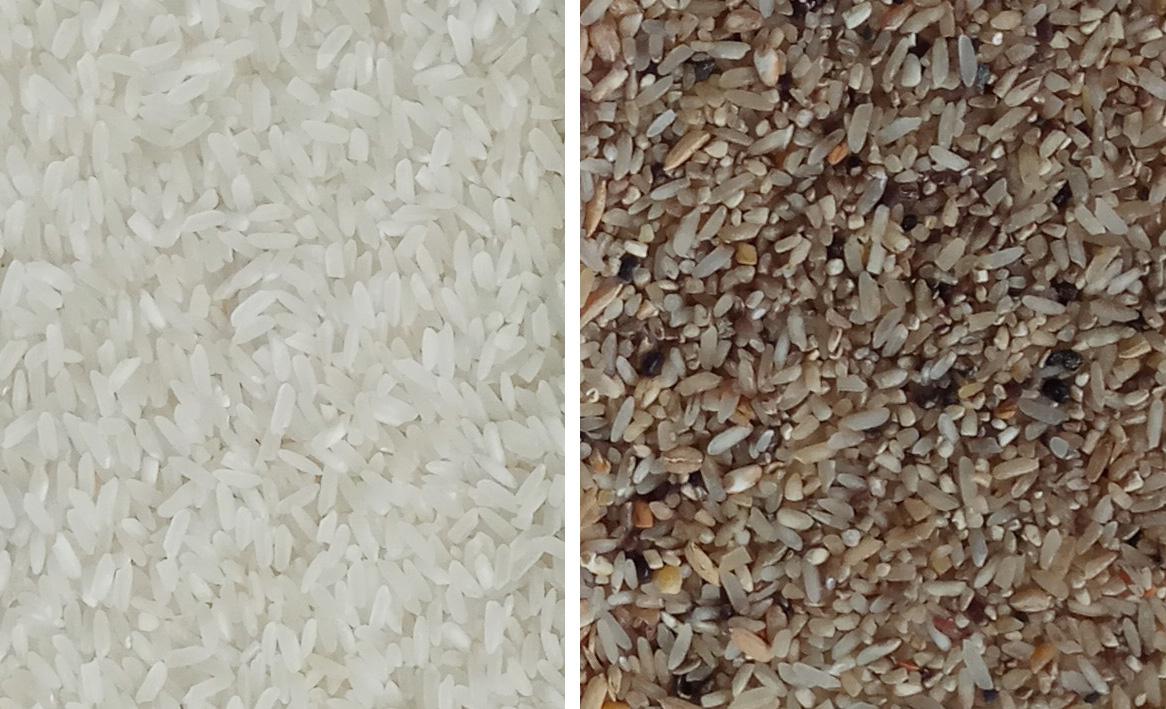 大米怎么加工的 v2-579dcb32098c42fd558bd9db6b461c98_1440w.jpg?source=172ae18b