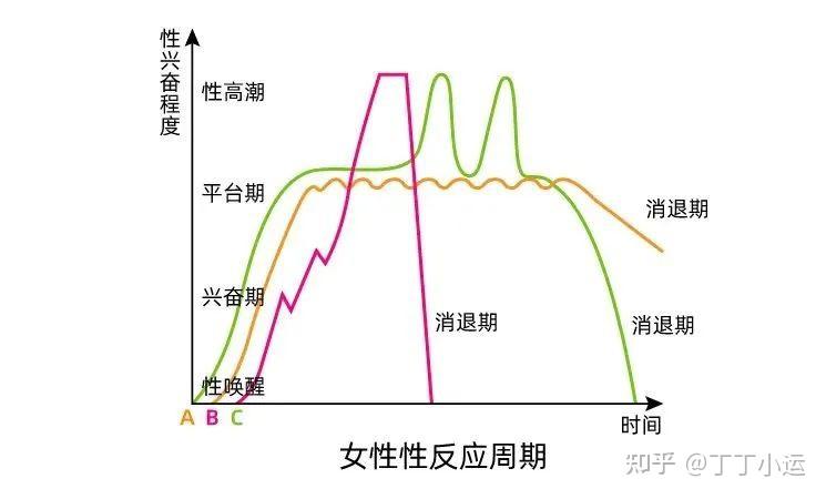 一文看懂,男女性兴奋反应周期对照图 - 知乎