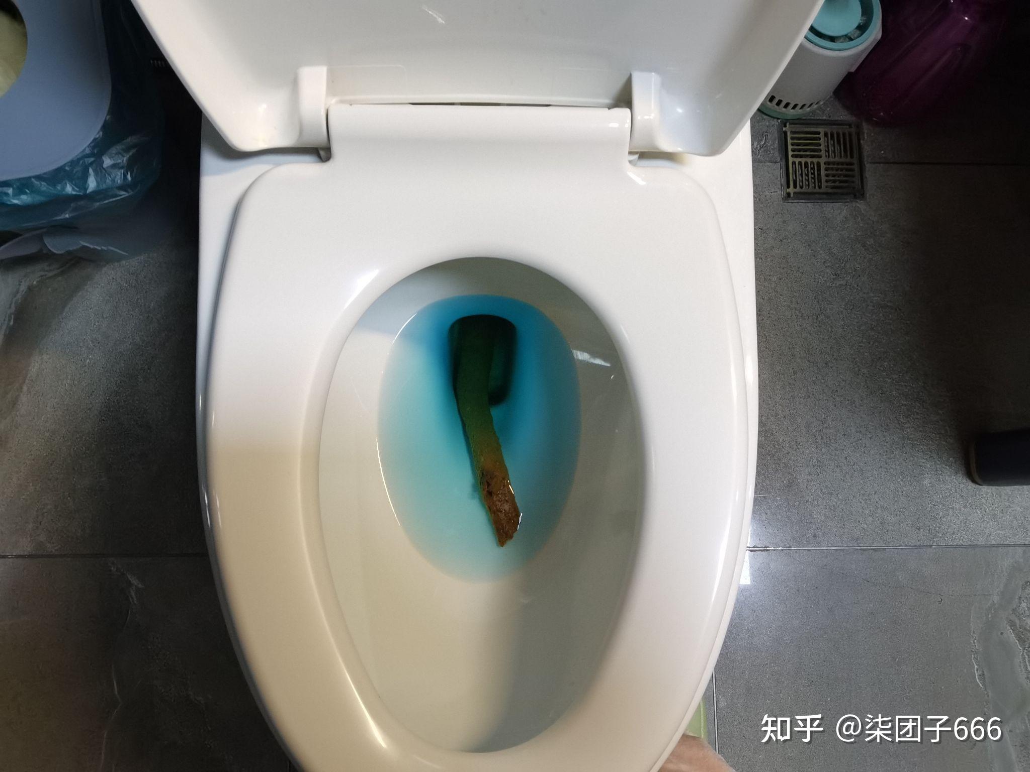 你们见过最大的屎是什么样的