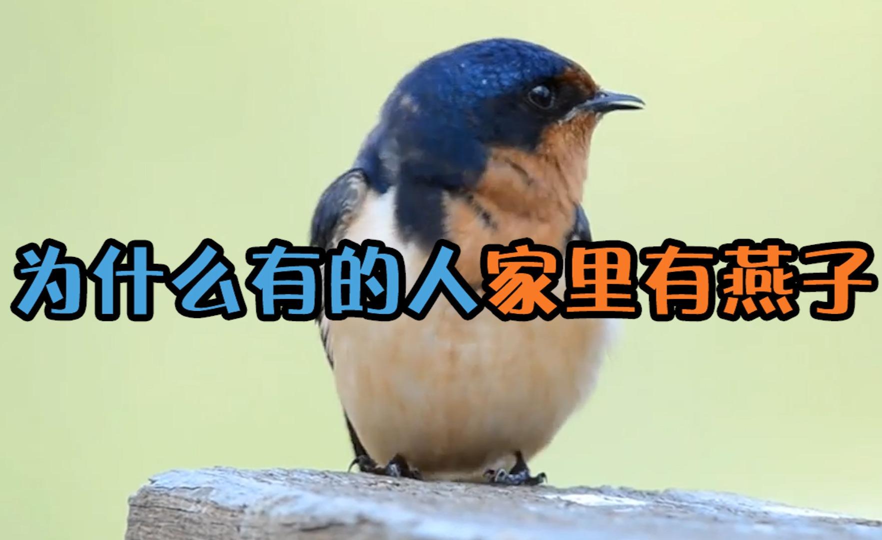 v2-57bdb4bb94dddae12e64d152fe2b7413.jpg