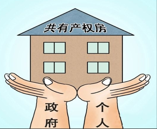 丈母娘经济学-共有产权 - 知乎
