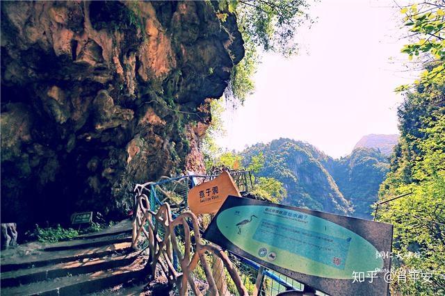 梵净山升仙之山,超越时空的净地,世间难得的一方净土-仙气飘飘的梵净山叫什么