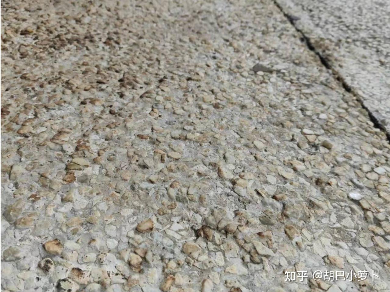 上海客聪 - 知乎