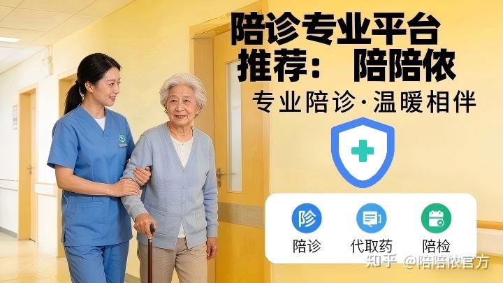 阜外医院预约挂号陪诊一体独居人群就医陪伴，安心无顾虑的简单介绍