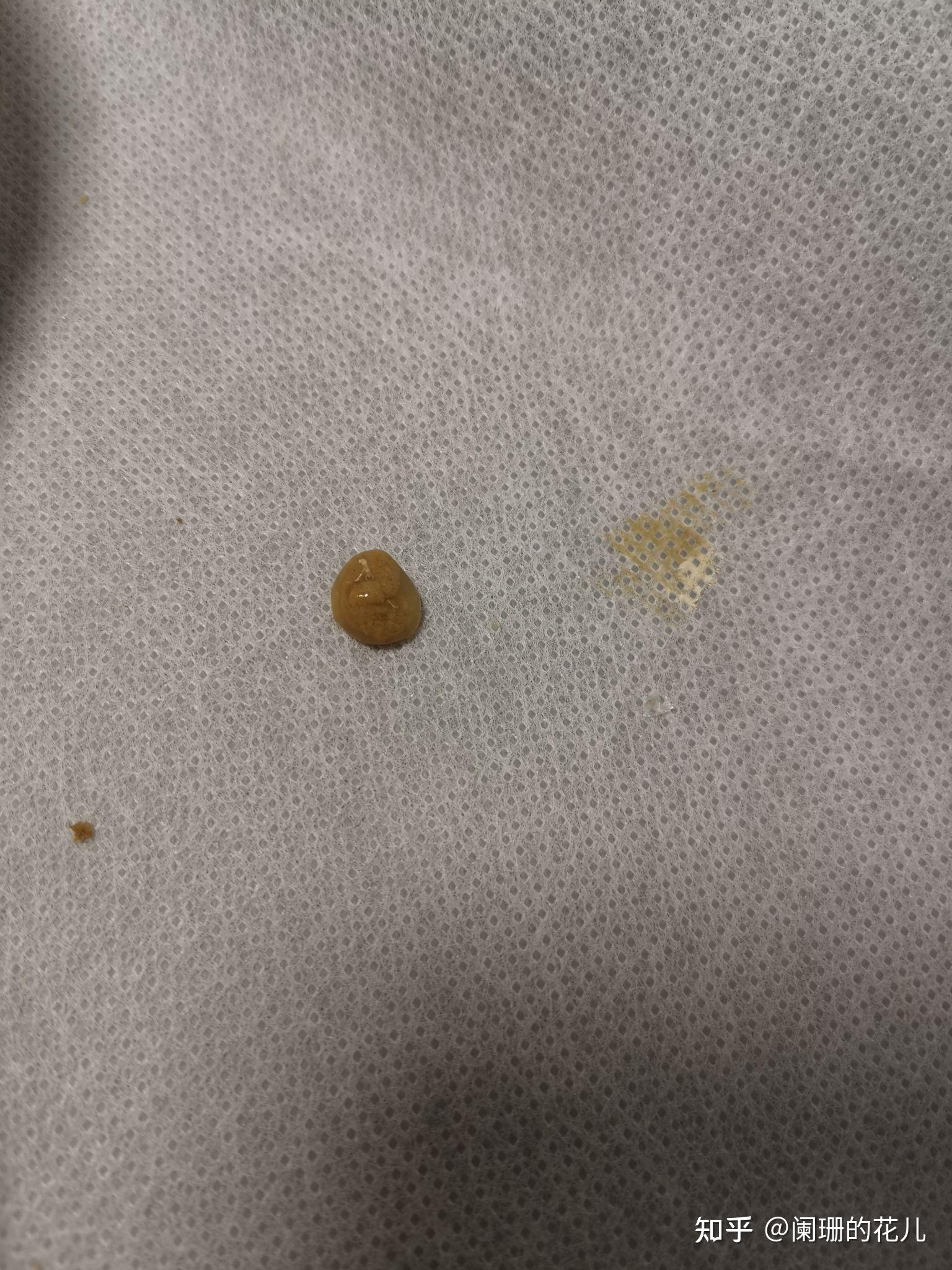 玄凤拉稀怎么处理