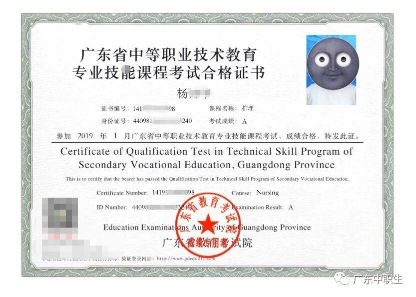 化学证书,旅游证书,教育综合证书,生物技术基础证书,美术基础证书