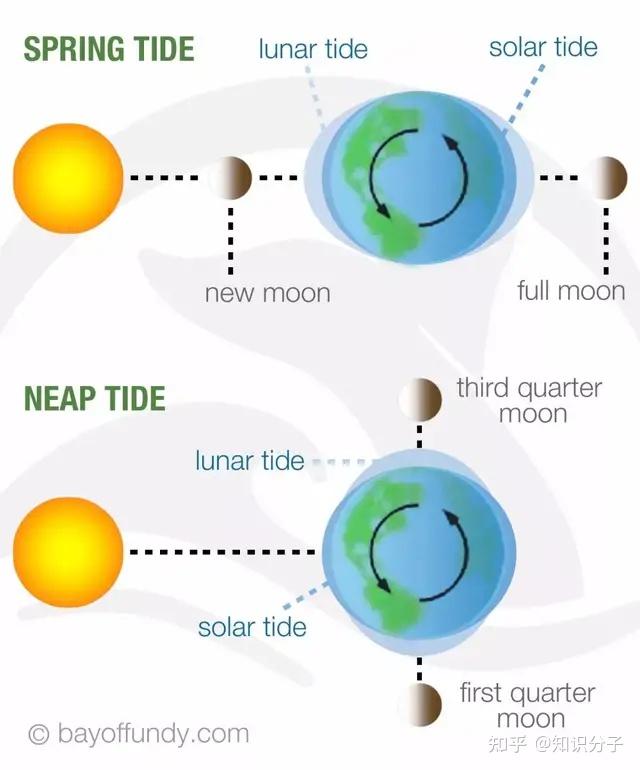 Difference Between Tides And Currents