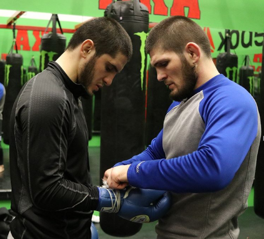 小鹰现在有多能赚钱经纪人透露了一个数字