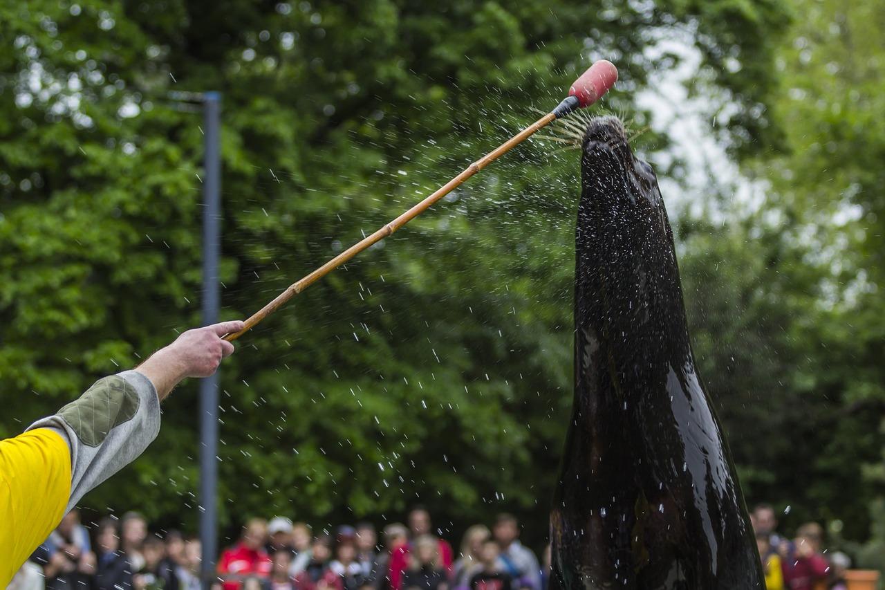 楼梯防滑漆选择