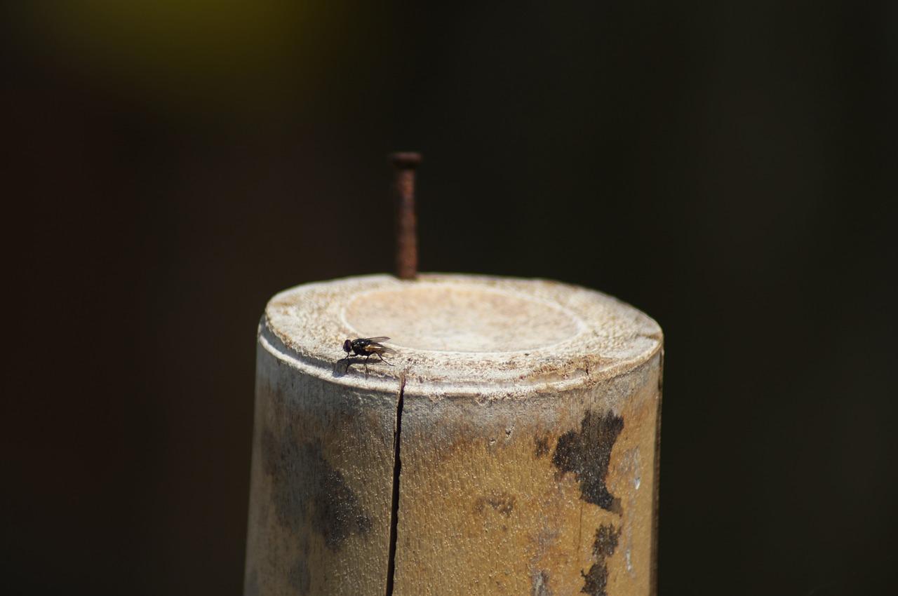 投影尺寸不合适