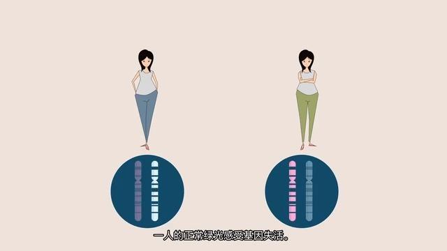 性染色体异常(如xxy型,xyy型)对个人性格的影响是什么? - 知乎