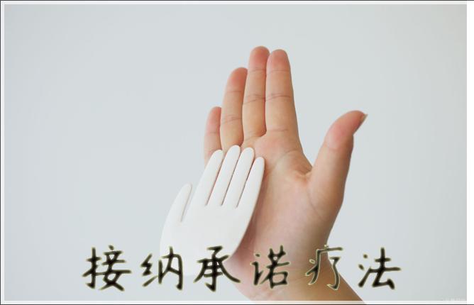 心理咨询技术解析 接纳承诺疗法 Act 知乎