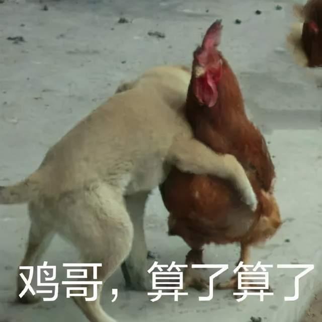 v2-58223dc4789bfdc066ef4fd2d4c2dce0_r.jpg