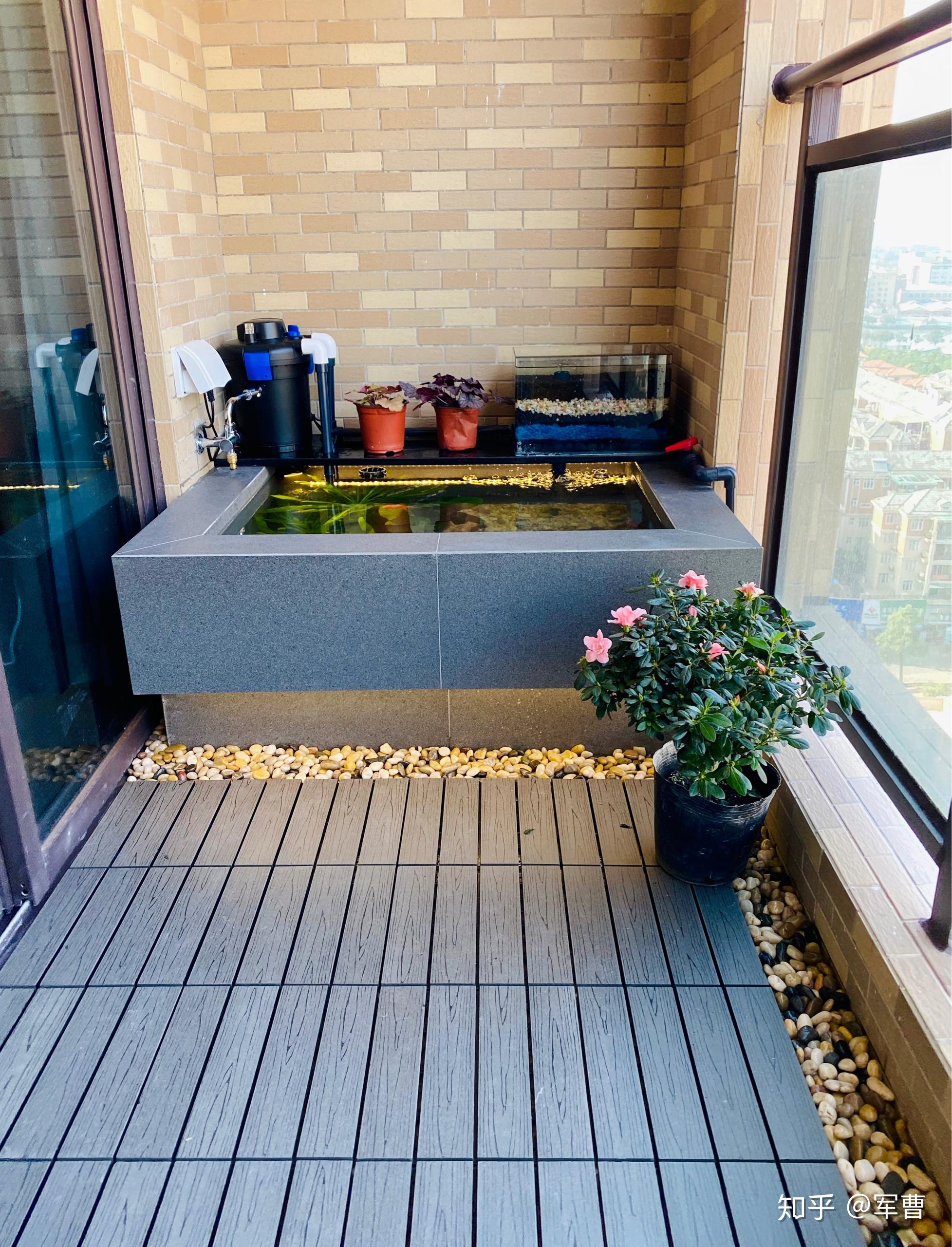 如何自制阳台生态小鱼池