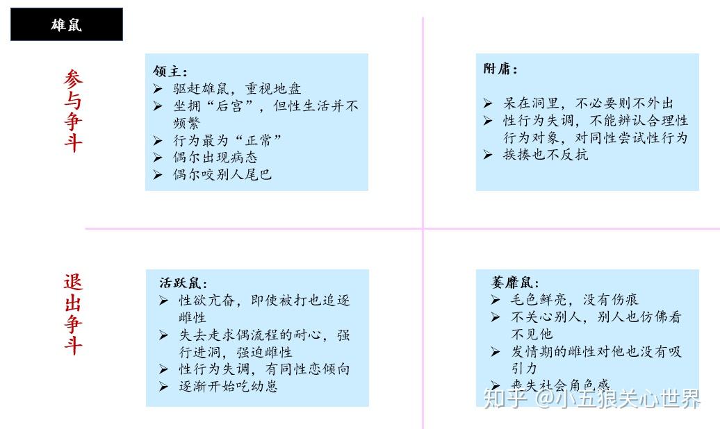 第25號宇宙序章我們總在嘗試想看見人類的終局