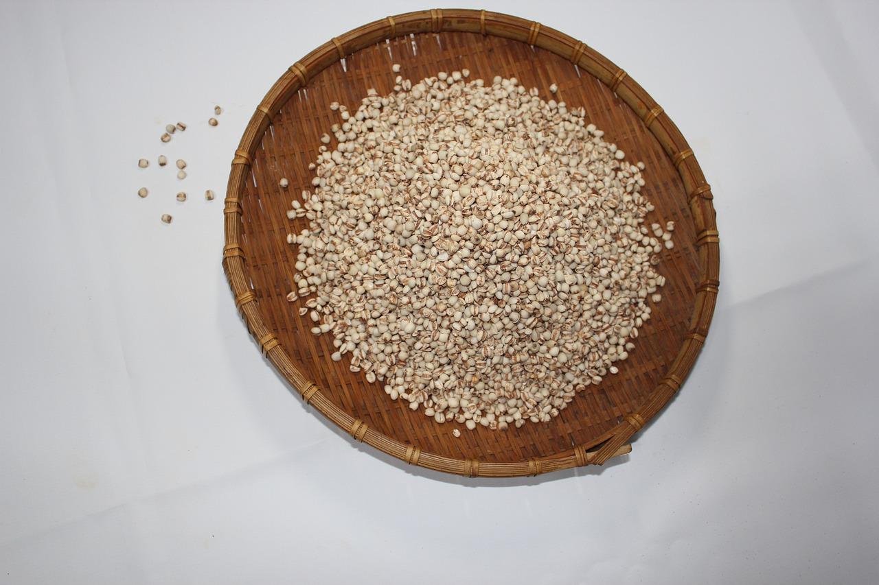 2. 防潮防霉措施