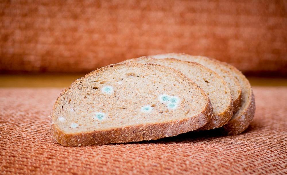 1毫克就能致癌20毫克就能致命发霉食物中的黄曲霉素