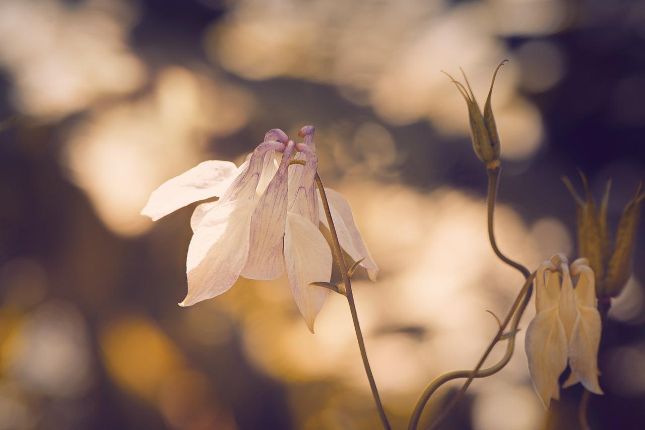 回望：成长与收获点滴