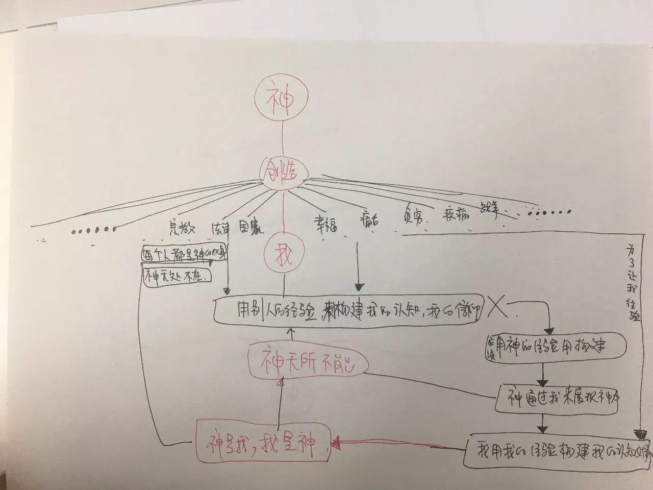 的演员表