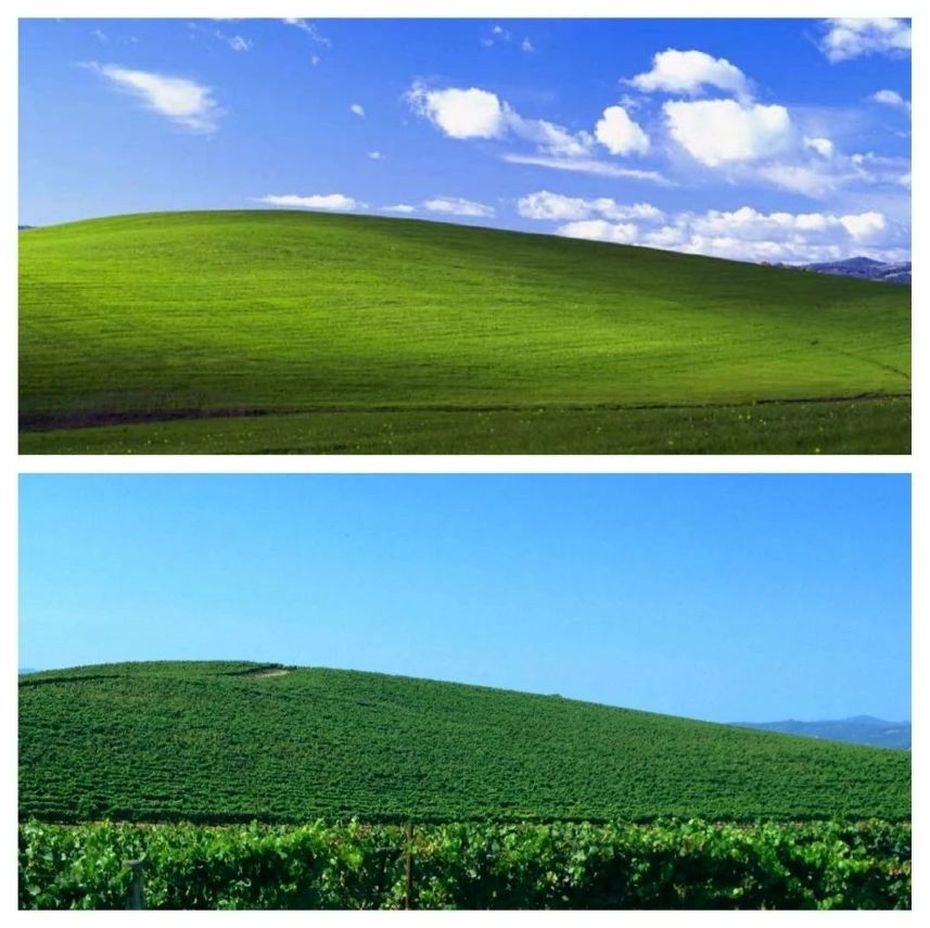 那张Windows XP默认壁纸,直到今天都还有新故事发生 - 知乎