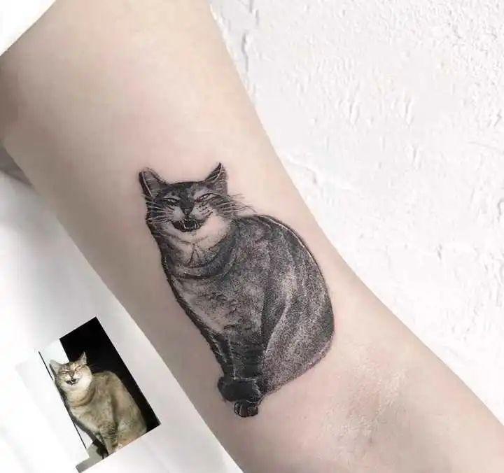 给宠物纹身是溺爱还是虐待