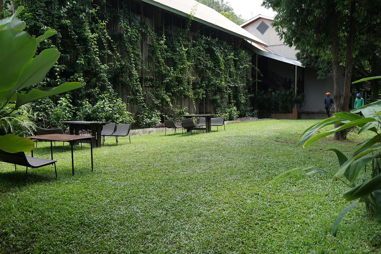 小草坪怎么修剪