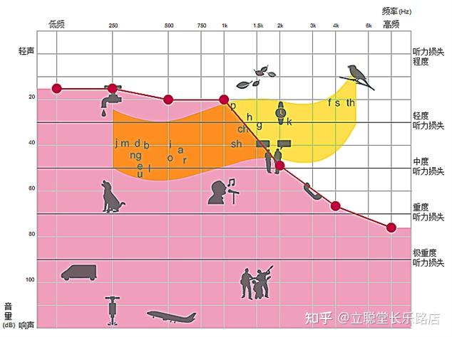 一吵就听不清,是听力有问题吗? - 知乎