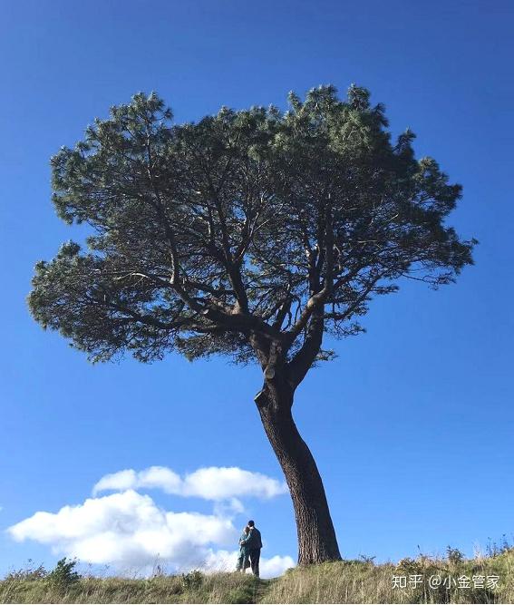 新西兰北岛童话之旅