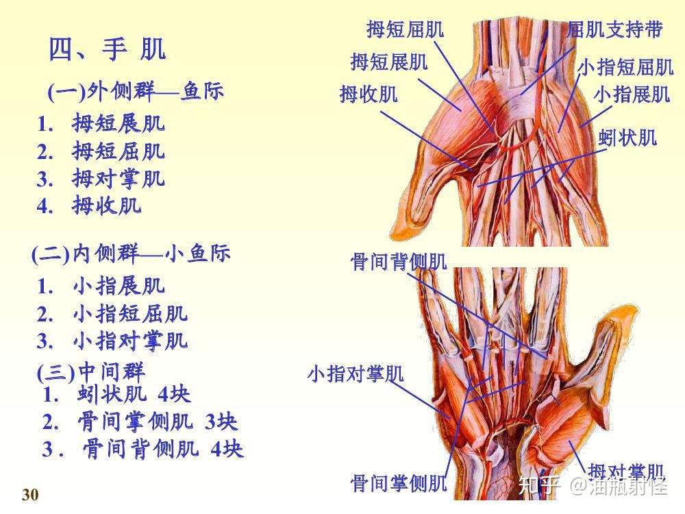 浅谈弓矢之推弓手的秘密 - 知乎