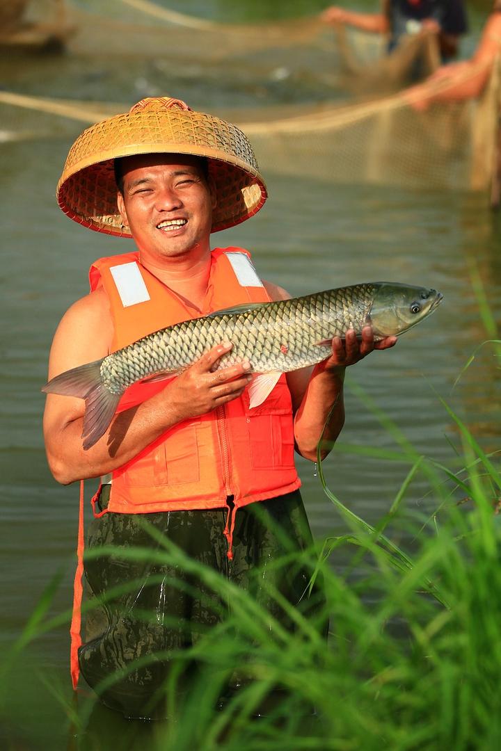 中山汽车年审需要多少钱1