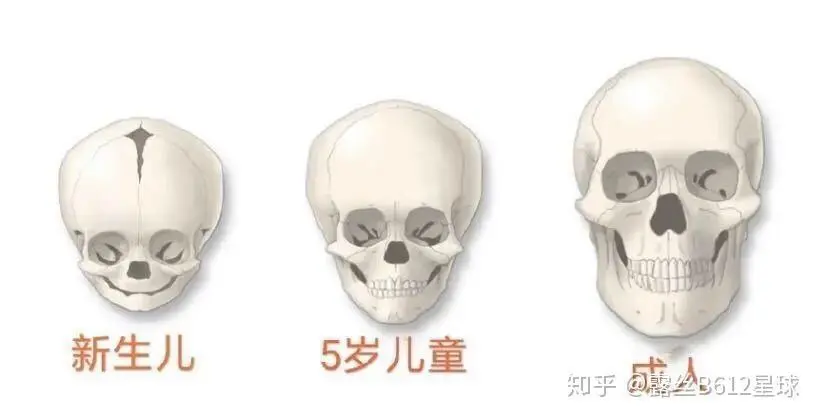 头大怎么办?怎么让头变小? - 知乎