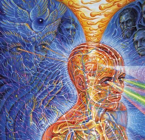 死藤水与dmt 人类灵魂的起源 知乎