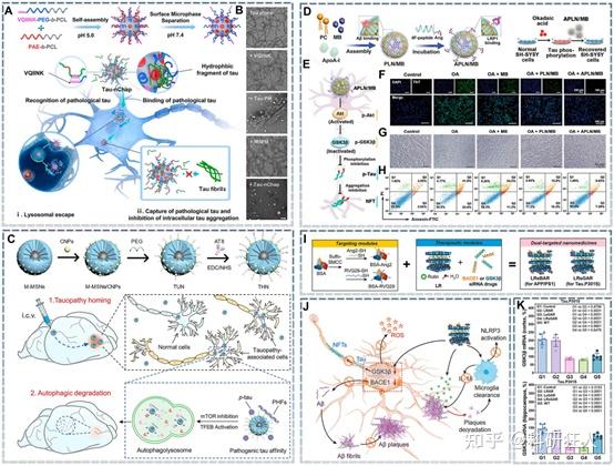 Brain-X | 广州中医药大学陈桐楷课题组:靶向病理机制的抗AD纳米药物 - 知乎