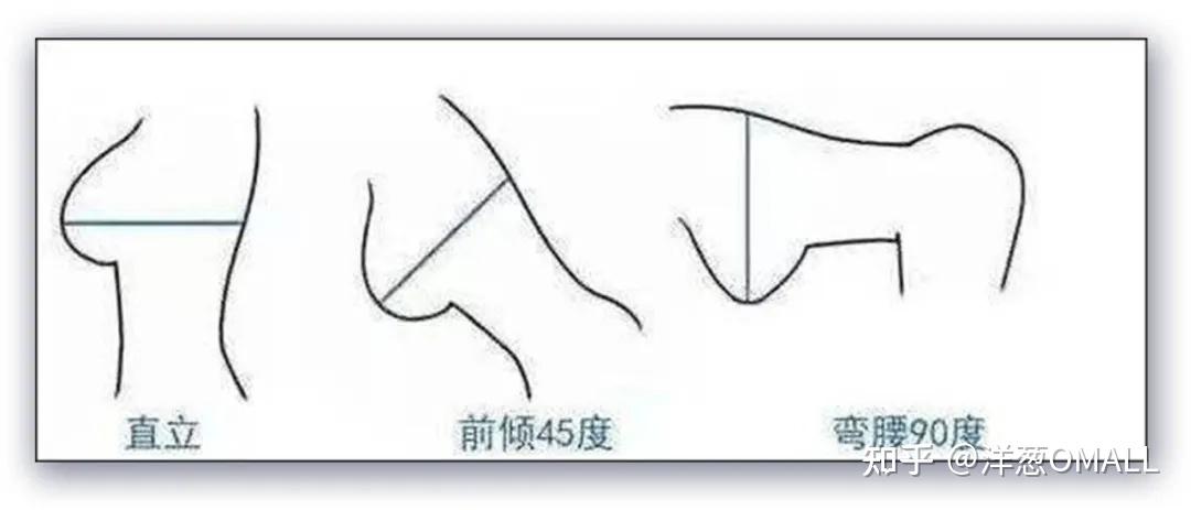 胸小超a胸大无脑女生必读标准胸部知识解读