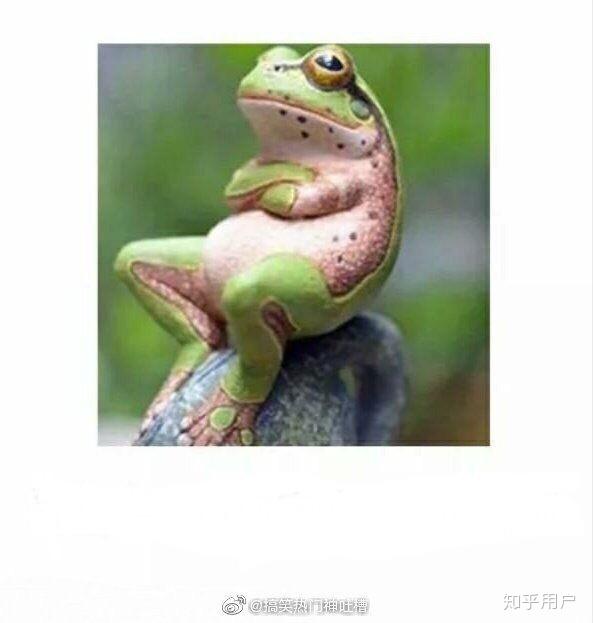 2020 考研数学真的会很难吗?