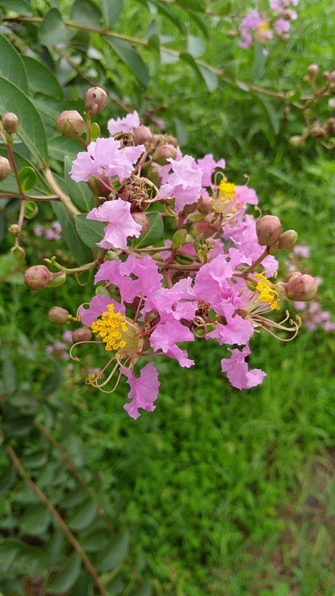 下弦月 星漫天 - 知乎