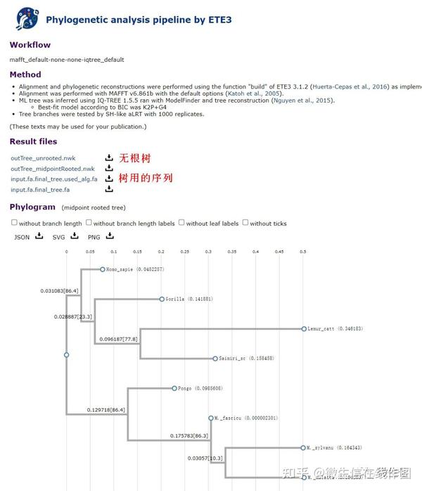 使用ETE包让系统发育树（进化树）和多重序列比对（MSA）“同框” - 知乎
