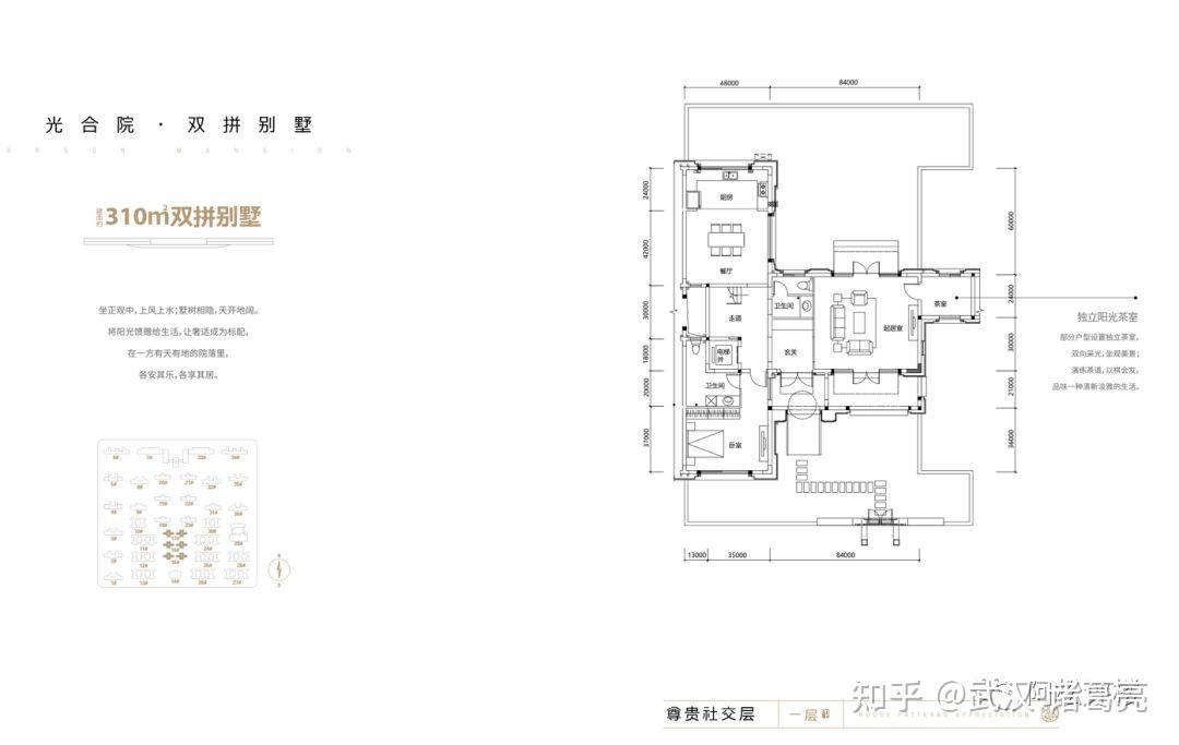 成功人士的象征宇宙中心城独门独院超高拓展豪宅面市光谷澎湃城奥山府