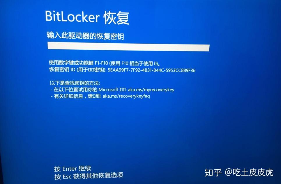 BitLocker overview Microsoft Learn