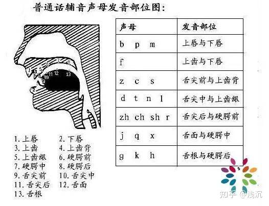 《四声歌》解读5 - 知乎