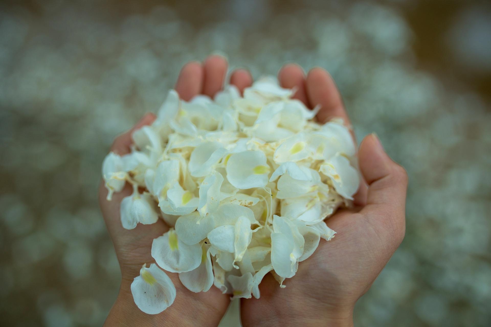 武夷山有什么好玩的?