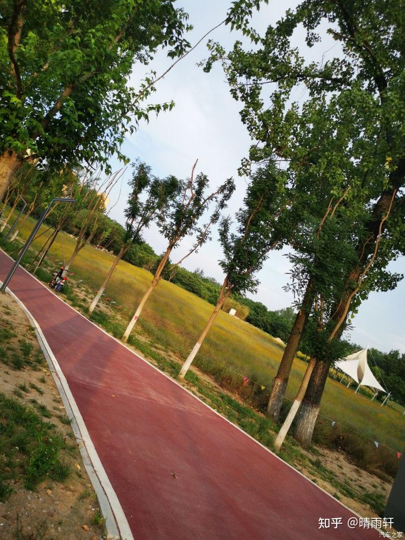 晴雨轩打卡西安网红公园小三亚大汉相伴乐逍遥