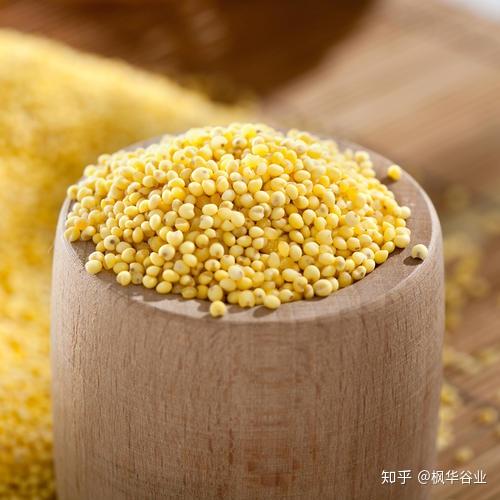 什么是黍米?黍米有哪些作用呢? - 知乎