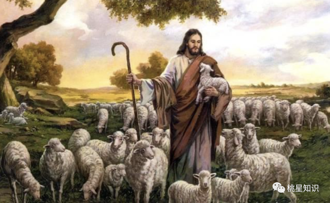 耶稣牧羊图片