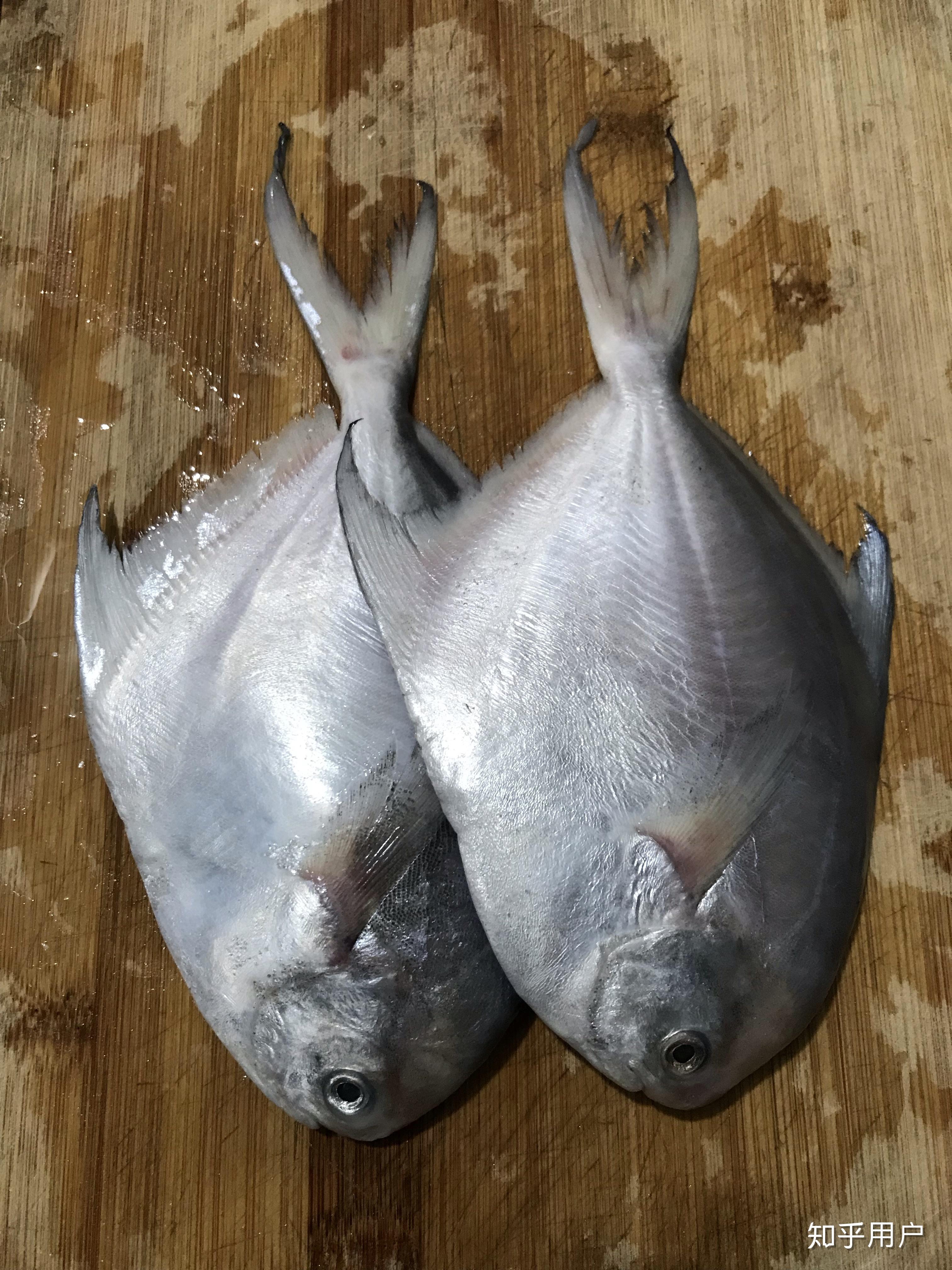 金鲳和银鲳哪种好吃